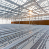 Safety Durable Good Quality Light Steel Structure Roof Shed for Agricultural Poultry Shed Steel Structure Greenhouse