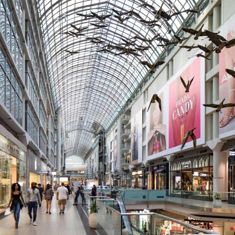 2025 Skylight Replacement Project Replacing Existing Skylight Roof with Latest Materials Technologies Improve Energy Efficiency