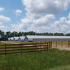 2024 Metal Frame Structure Customized Agricultural Livestock Cow House Hen Horse Pig Goat Farm Shed