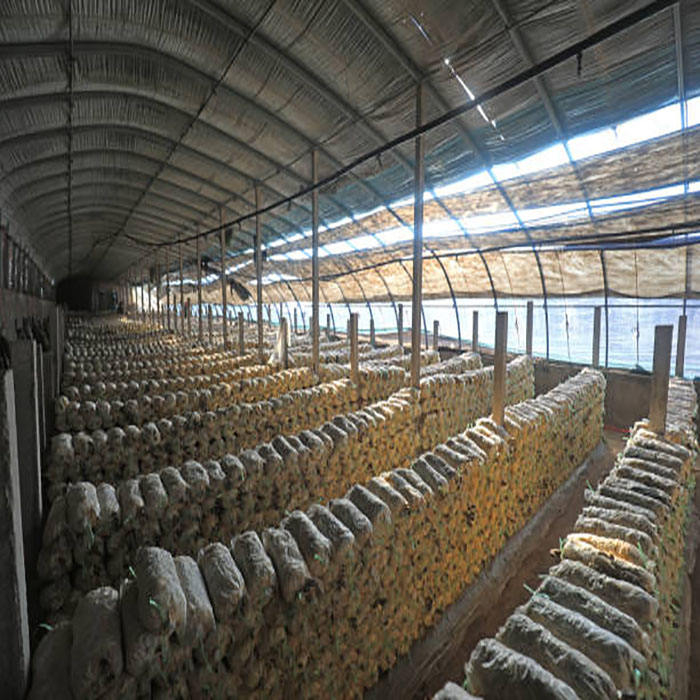 Good Thermal Insulation Steel Frame Building Customized Design Prefab Agricultural Cow House Goat Shed