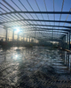 2025 the Lads Got All the Steel Work up the Stairs Lift Shafts Complete Before Remaining Cold-roll Steel for Hybrid Solutions