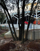 2025 SRC Paleo Park Steel Structures