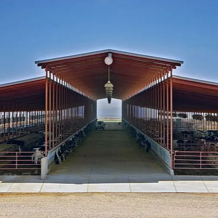 2025 Big or Small Steel Can Get You Covered if You Need a High Quality Agricultural Building to Last a Lifetime