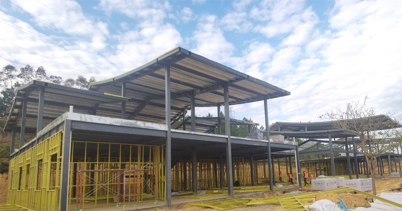 Steel Structure Home
