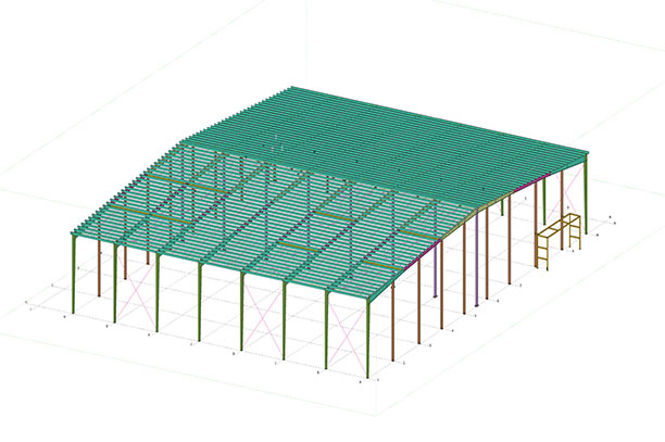 Prefabricated Steel-framed Factory