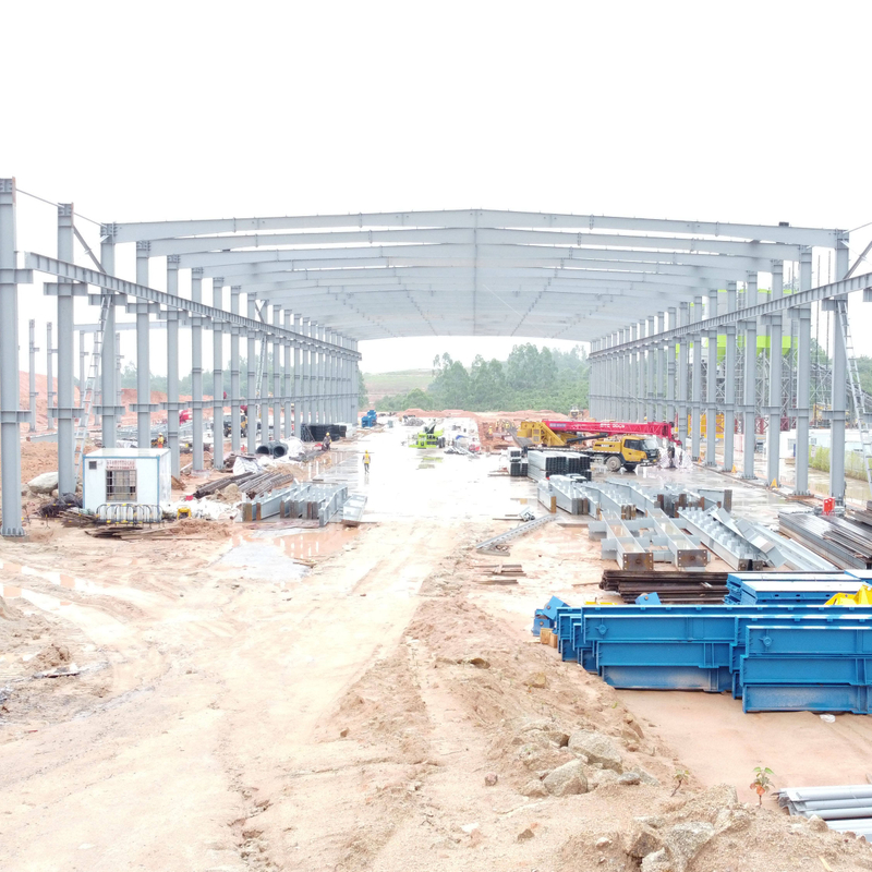 Steel Structure Building Prefabricated Warehouse Storage Shed Metal Frame Poultry House Factory with Cladding Translucent Panels