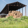 2024 Thermal Insulation Prefab Animal Shed Steel Structure Sheep/Cattle/Pig/Cow Shed Chicken Farming House