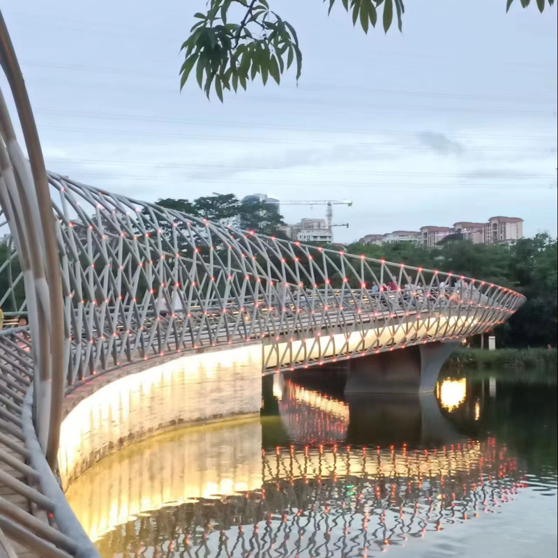 2024 New Product Flexible Various Type Artistic Unique Customized Steel Structure Pedestrian/Foot Bridge