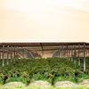 2024 Farming Shed Breeding Factory Prefabricated Building Material Steel Framing Goat House Sheep House