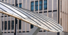 2025 Timber Glass and Steel This Canopy Standing Here Without a Significant Dose of Creativity Partnership Technical Ingenuity
