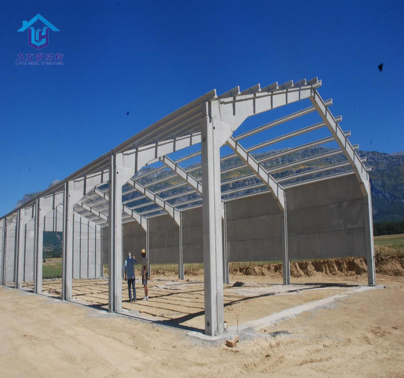 Steel Structure Materials for Sale Prefabricated Modern Design Steel Structure Building Garage Storage Shed Barn