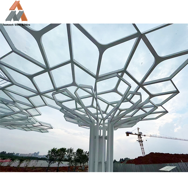 Light Gauge Steel Frame Foshan Teamwork Steel Structure Co., Ltd.