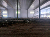 2025 Making Strides on Factory Workshop Project Adding Endwall Insulation Downspouts to Building Getting Closer to Completion