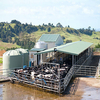 Large Span Prefabricated Steel Structure Warehouse Steel Chicken House Goat House Shed Cow House for Agricultural
