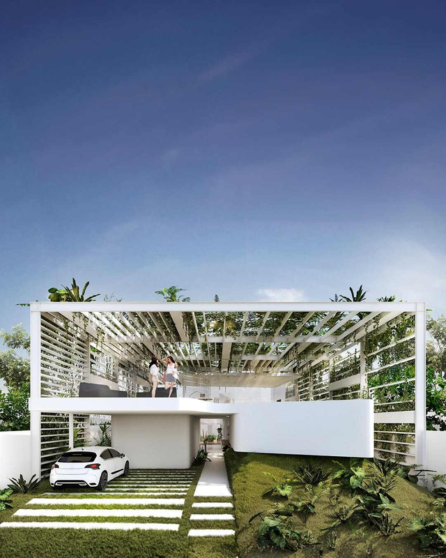2025 Images of Our Passionfruit House Under Construction