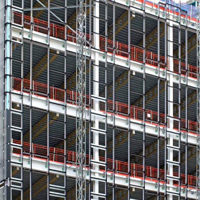 2024 Customized Types As Your Preference Steel Structure House/Villa