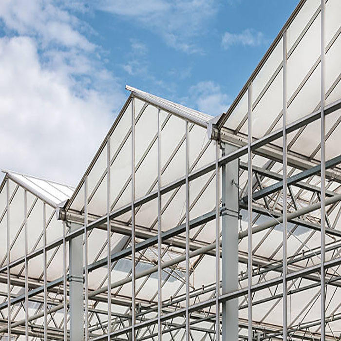 2024 Prefab Steel Structural Modular Factory Building Steel Frame House Prefabricated Steel Shed