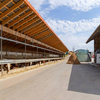 2024 Shelter From the Wind and Rain Metal Slab for Wall and Roof Steel Frame Hay Shed/Shelter