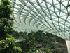2025 Changi Airport Safdie Architects Singapore Steel Structures Garden in the City
