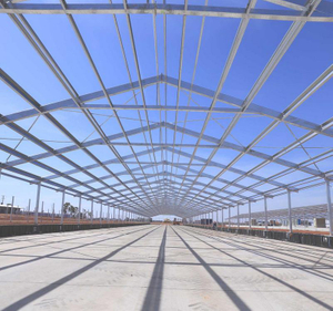Prefab Steel Building Low Cost Steel Structure Workshop Warehouse Carport Canopy Metal Garage Self Storage Shed Industrial